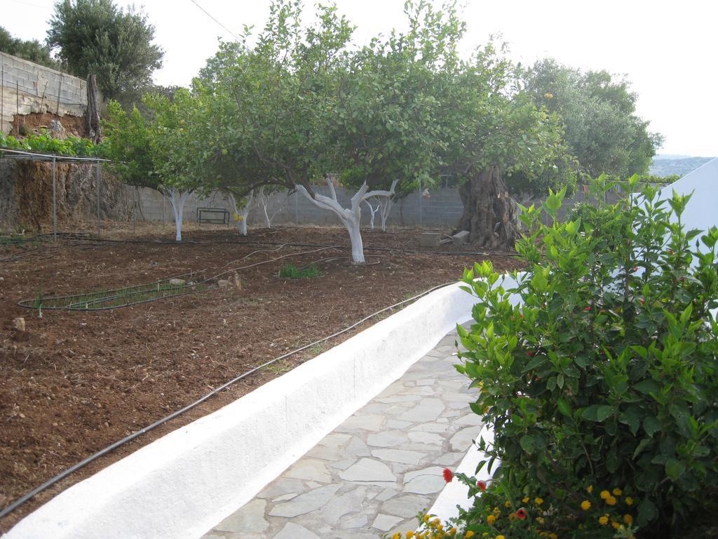 Villa Angela Istro Ngoại thất bức ảnh